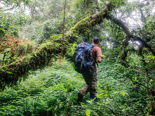 Full NEPL Trekking Trail_Credit-DominiqueLeRoux_Fab